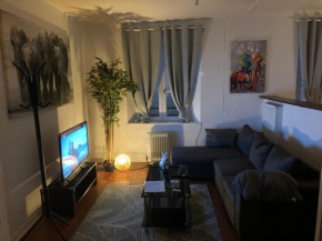 Appart'Hotel Victor Hugo et sa pizza offerte